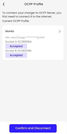 User interface showing OCPP Profile with connection details. Includes 