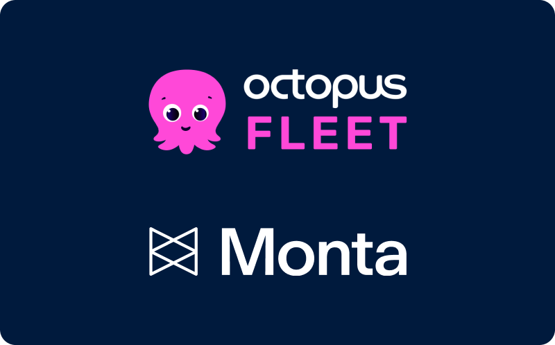 Monta arbeitet mit Octopus Electroverse zusammen, um Flotten- und Arbeitsplatzladen im Vereinigten Königreich und in Europa voranzubringen